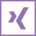 xing icon